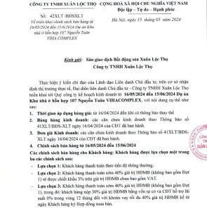 VFLINVEST - Tư Vấn Đầu Tư BĐS Cao Cấp Chuyên Nghiệp & Hiệu Quả Nhất chinh sach ban hang viha complex 1