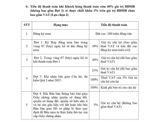 VFLINVEST - Tư Vấn Đầu Tư BĐS Cao Cấp Chuyên Nghiệp & Hiệu Quả Nhất chinh sach ban hang viha complex 3