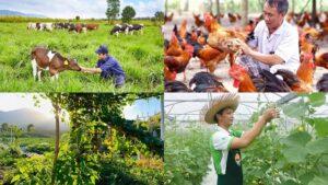 Pháp lý mua nhà: Kinh nghiệm từ chung cư viha flora https://vflinvest.com 37