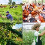 Xu hướng đầu tư viha flora và căn hộ xanh năm 2025 https://vflinvest.com 25