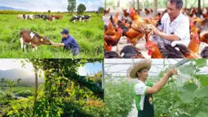 Xu hướng đầu tư viha flora và căn hộ xanh năm 2025 https://vflinvest.com 8